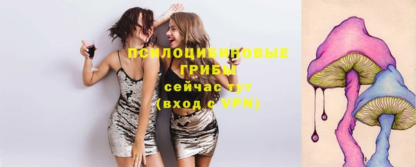 прущая мука Надым