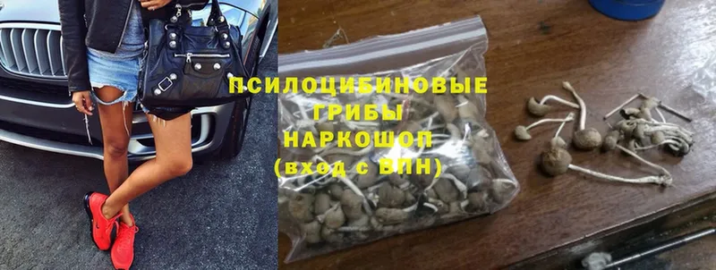 Галлюциногенные грибы MAGIC MUSHROOMS  Рязань 