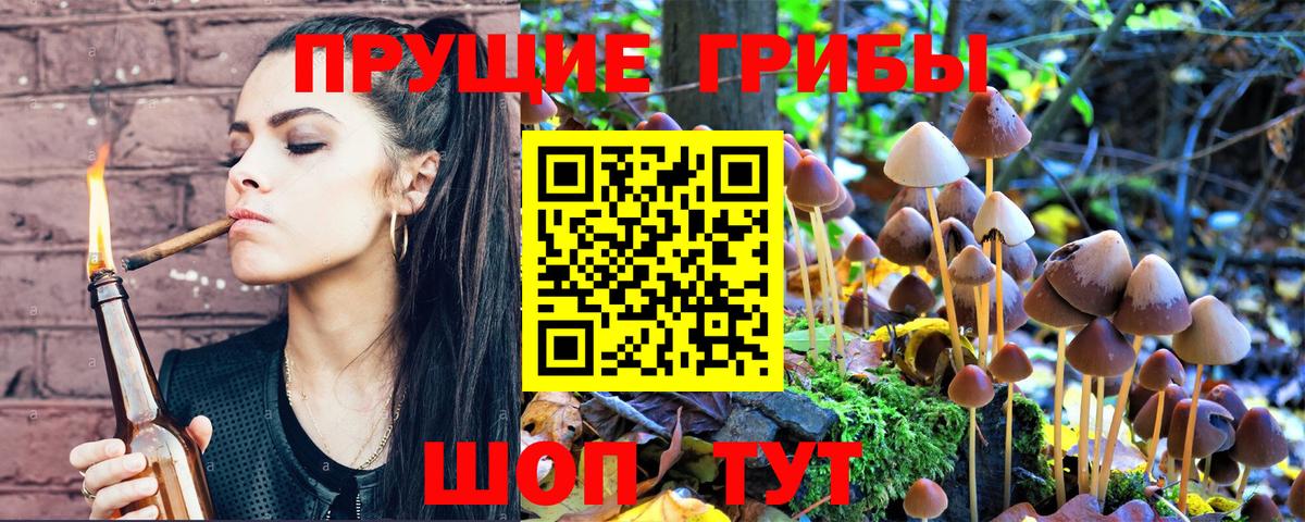 Псилоцибиновые грибы ЛСД Рязань