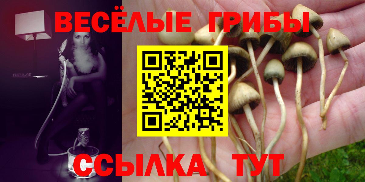 Галлюциногенные грибы мицелий  Вход с VPN  Псилоцибиновые грибы мухоморы  цены   Рязань 
